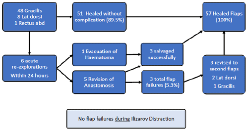 https://jbji.copernicus.org/articles/6/63/2020/jbji-6-63-2020-f03